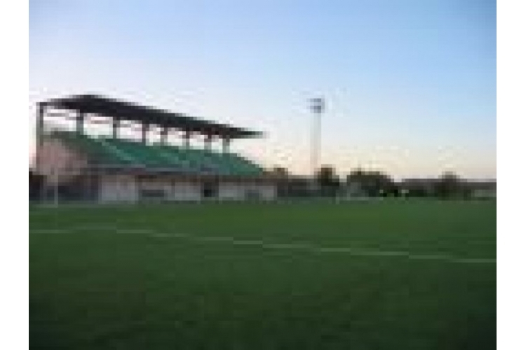 Campo de Fútbol Municipal de Olmedo