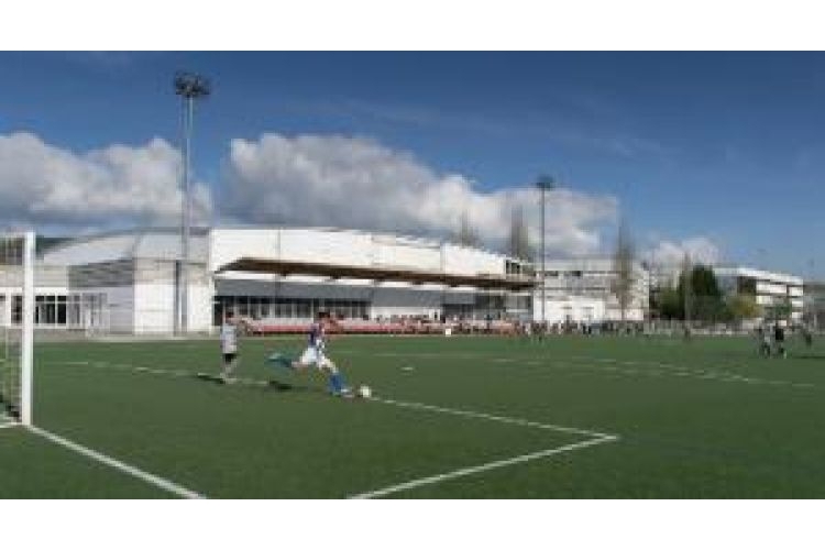 Campos De Futbol A Xunqueira De Pontevedra