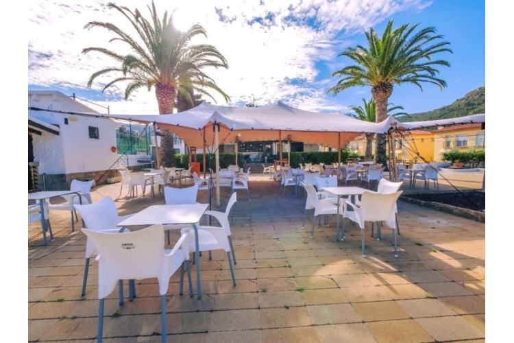 AGI RESCATOR SPORTS ROSES