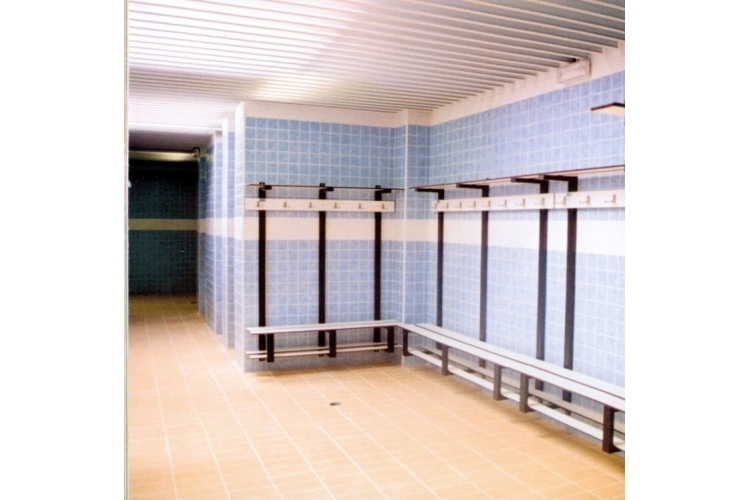 PISCINA CUBIERTA ALDAIA