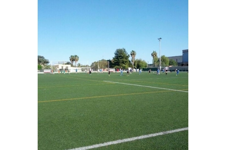 CAMPS DE FUTBOL MUNICIPALS L' ERMITA D'ALGINET