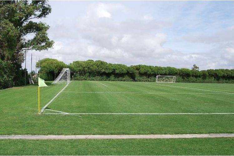 CAMPOS DE FÚTBOL NOVO SANCTI-PETRI DE CHICLANA DE LA FRONTERA 