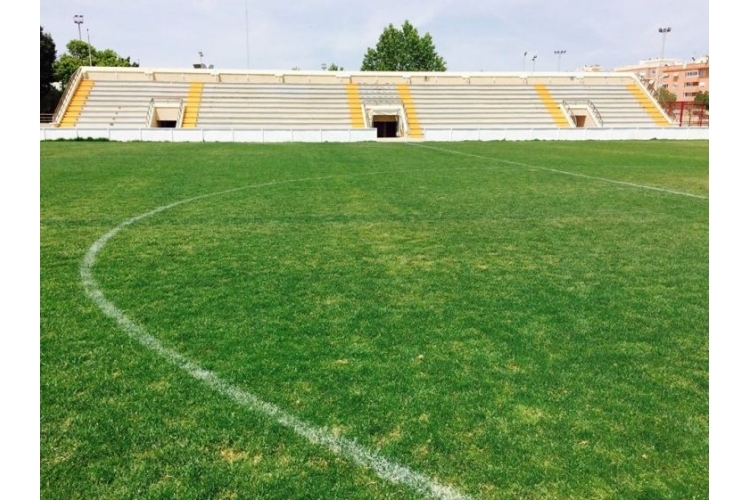 POLIDEPORTIVO ISABEL FERNÁNDEZ D'ELX 