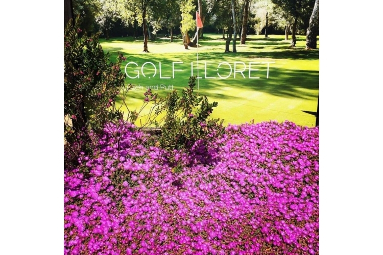 GOLF LLORET