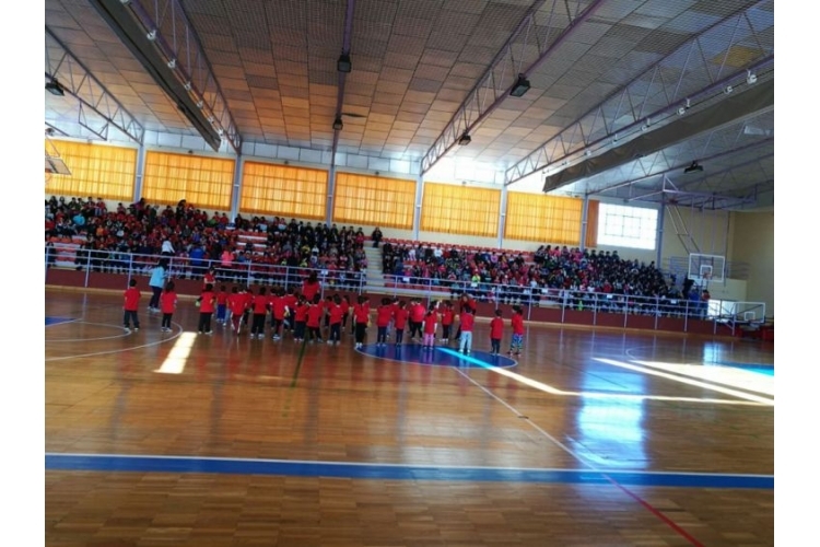  PABELLÓN MUNICIPAL JOSÉ MANUEL RUIZ DE GUADIX