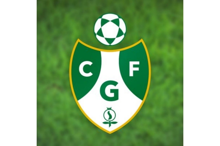 COMPLEJO DEPORTIVO DE LAS GABIAS 