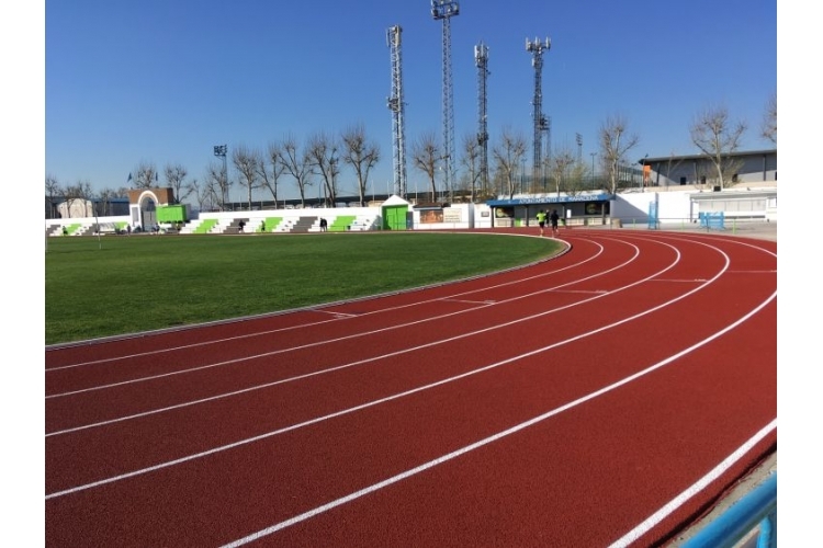 ESTADIO MUNICIPAL DE MARACENA 