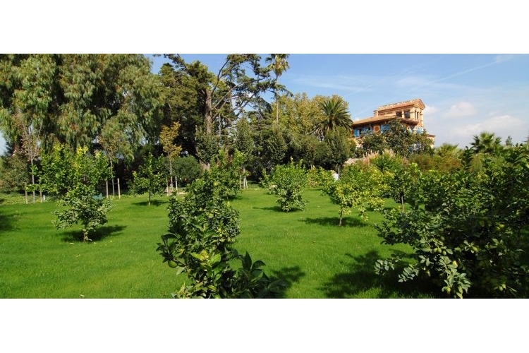 CLUB DE PÀDEL WELLNESS MAS PASSAMANER